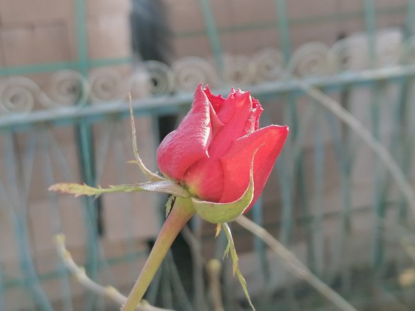 IMG 20240101 121104