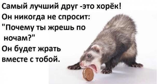 Самый лучший друг...