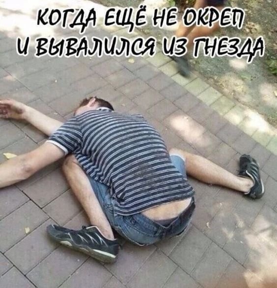 IMG 20260810 160008 005