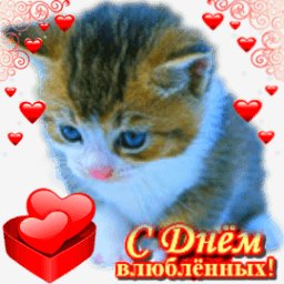 getImage(337)