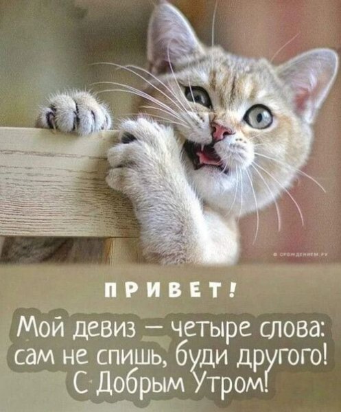 IMG 20221110 100142