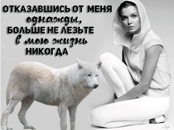 IMG 20200602 035147