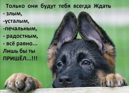 Только они...