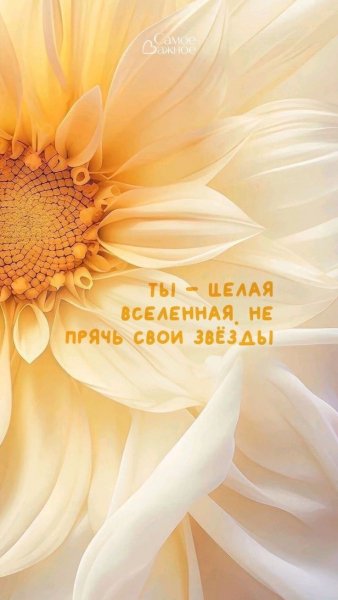 Ты