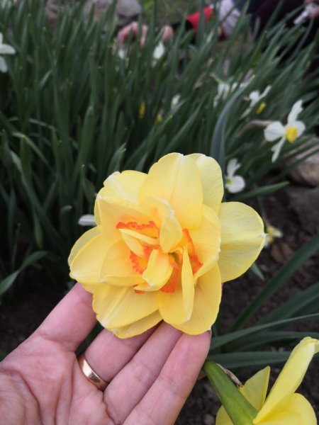 IMG-20190503-WA0024