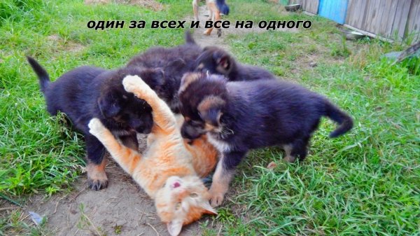 DSCN1002