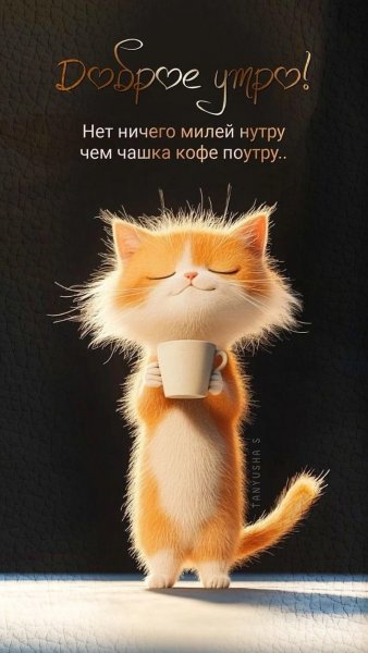 IMG-20241110-WA0002