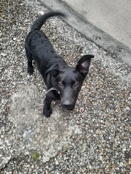 picture_392419225