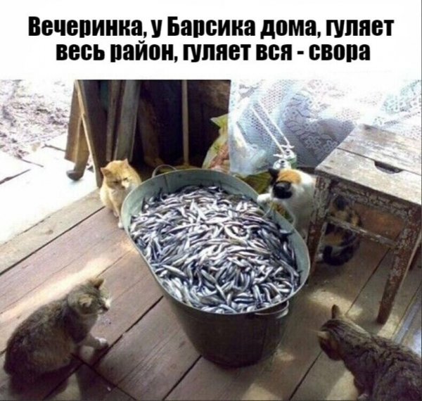 Вечеринка...