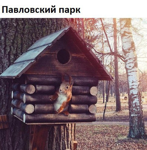 СПб.. - Павловский парк