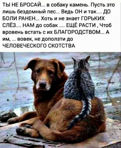 IMG 20190524 233128