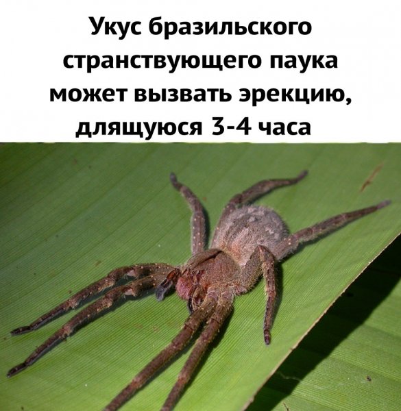 Gpf2fS2dGlG6MpF9