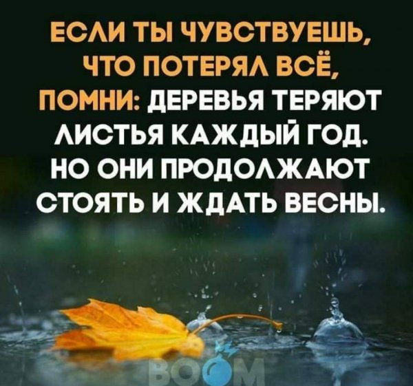 IMG 20211124 201928 361