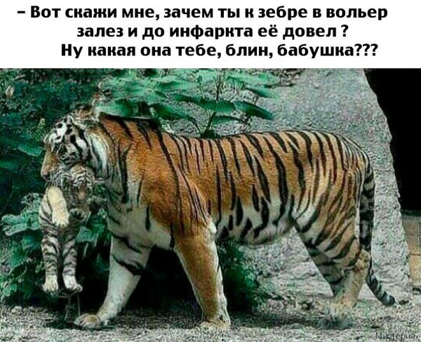image (9)