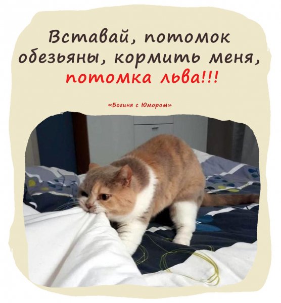 )))))