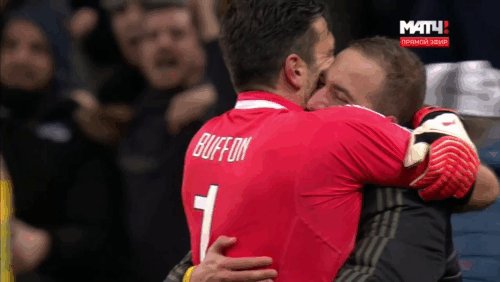 Buffon e l 39 amore