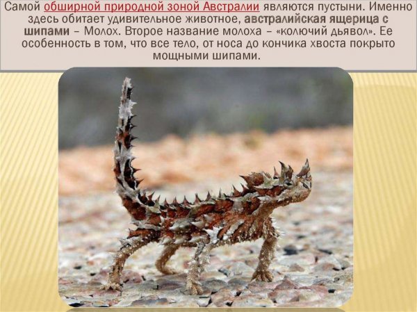 Молох