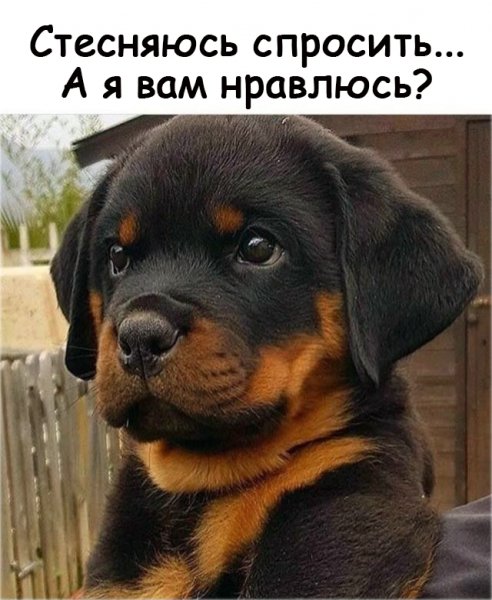 IMG 20220202 115952