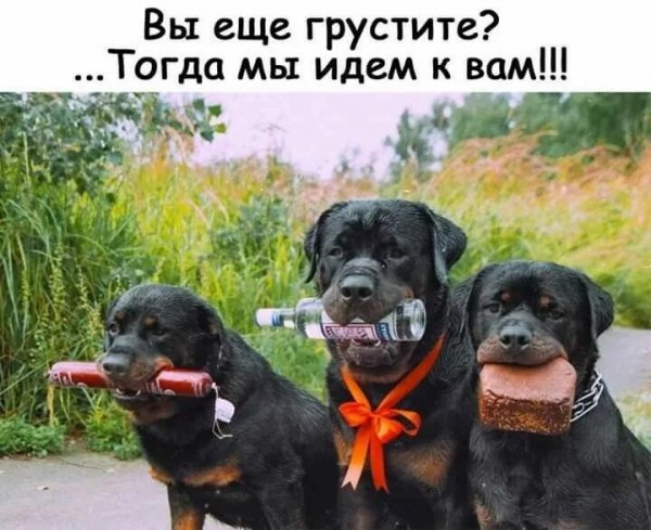 Да! ))