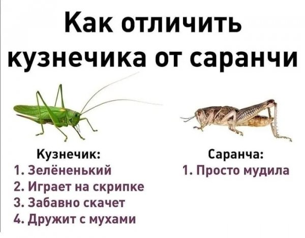 Qk5xvnur