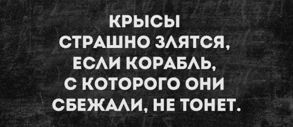 Крысы)