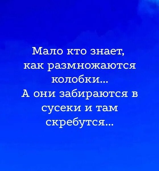 IMG 20250530 195547