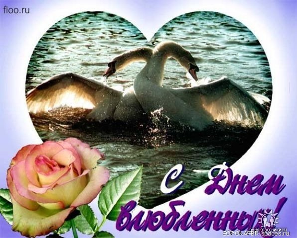 С ДНЁМ ВЛЮБЛЁННЫХ
