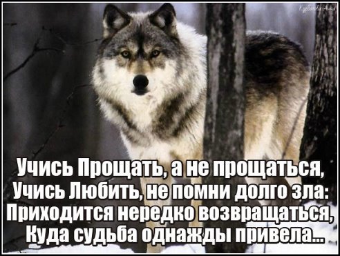 getImage (3)