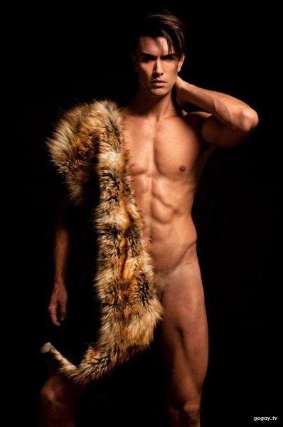 daniel-benjamin-homotography-david-