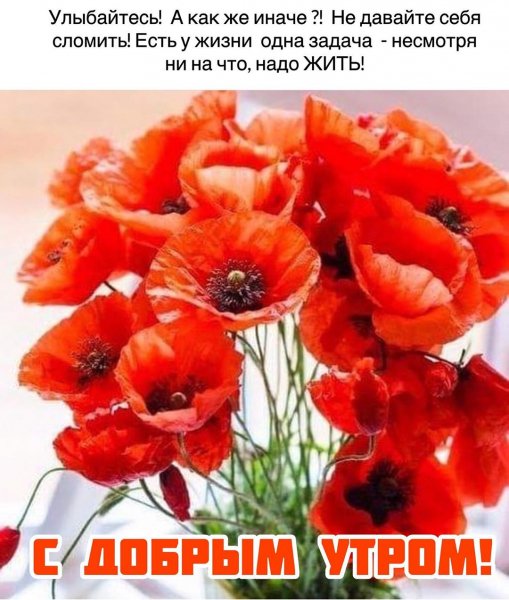 79ce19477a484b1cd6309644b079c8ae