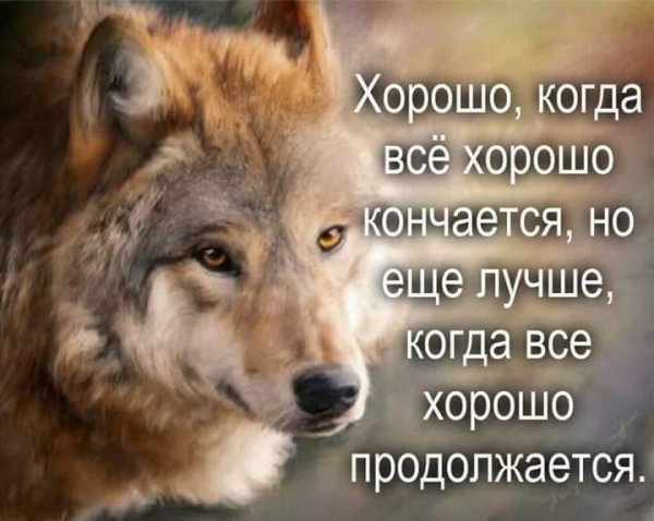 FB IMG 1550326637080