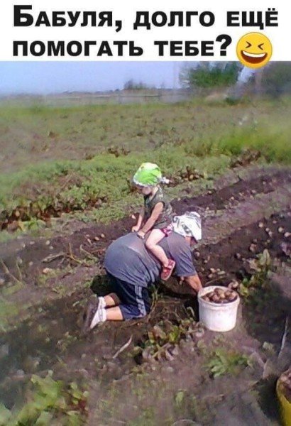 picture_416869343