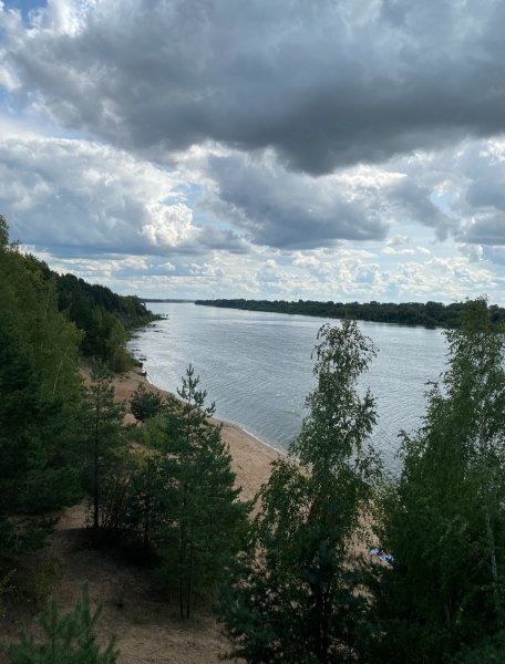 picture_395972069