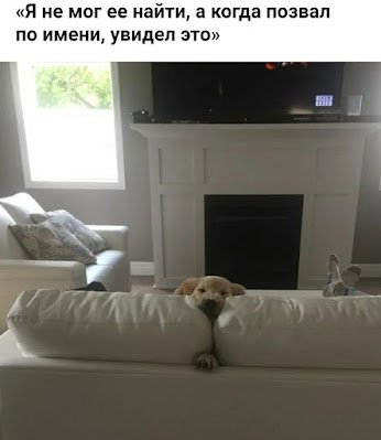 picture_413538625