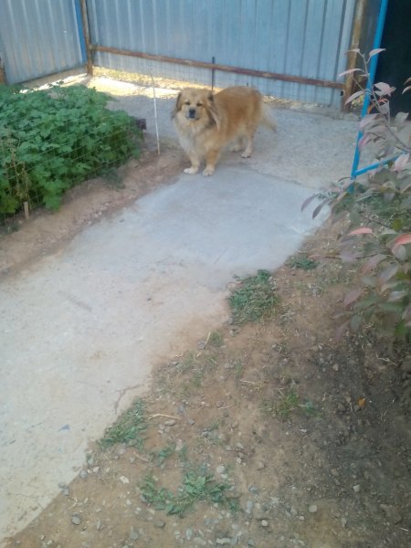 IMG 20201101 152316