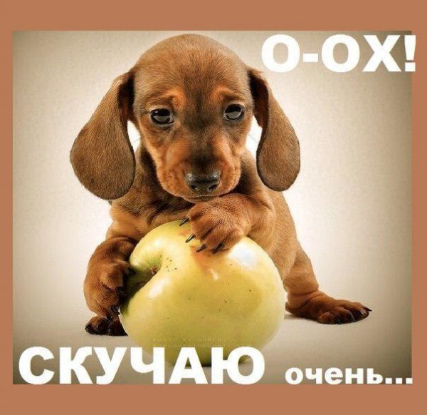 bf1oxKs uqI