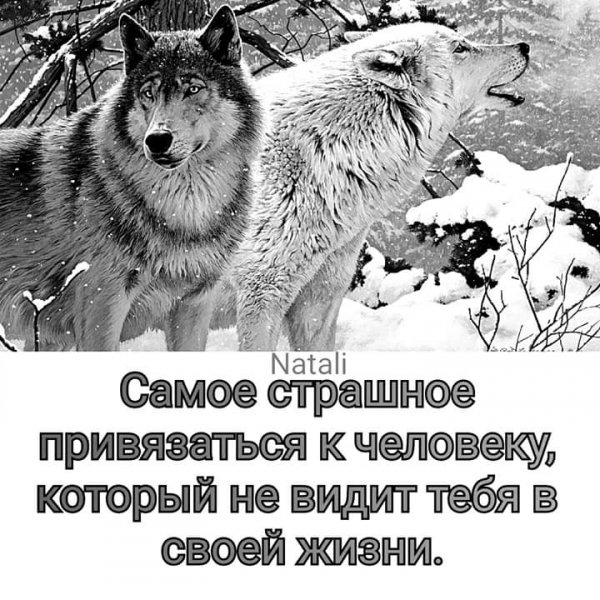 FB IMG 1550327112200