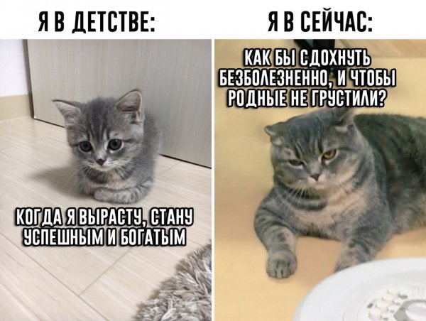 X5qjNDOTQxk