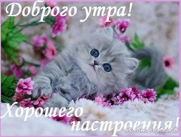 IMG 20180606 072228