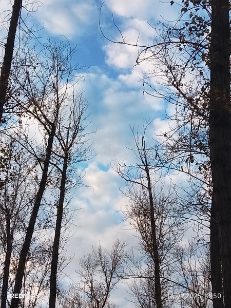 picture_396438518