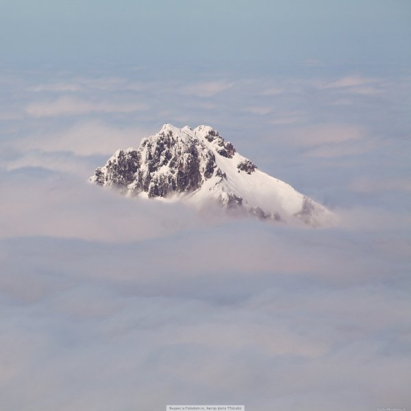 Yandex-Images-2016-06-12-