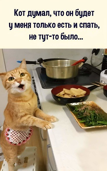 Опаньки!