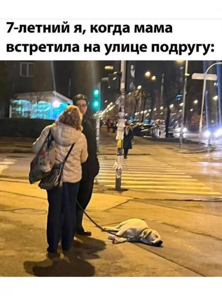 p.1200.1200.0