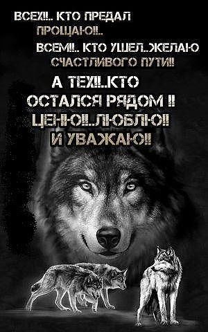 YX3Ub7c9R7k