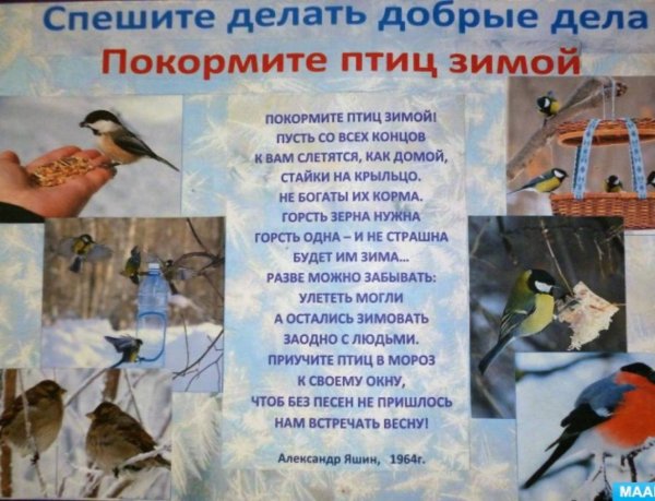 Покормите птиц зимой