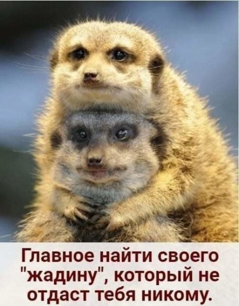 IMG 20200401 224457