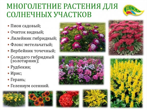 На заметку