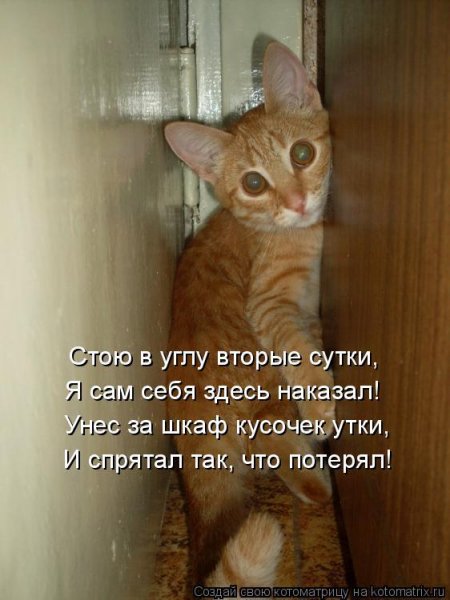 Печалька