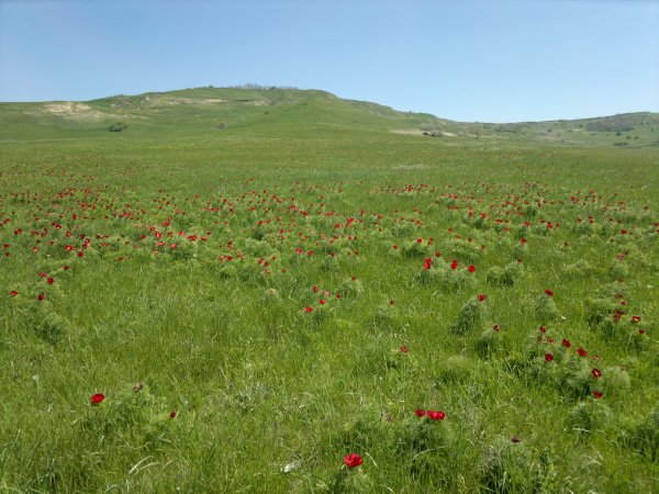 (30-04-2013) Краснодарский край, Россия