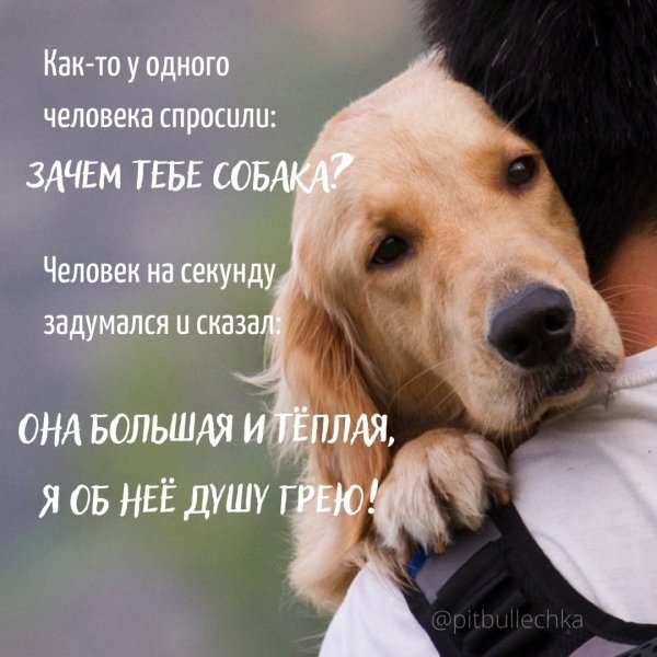 Душу грею!